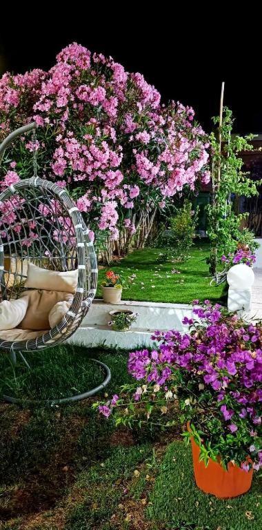 La Smeralda - Boutique Rooms And Breakfast Golfo Aranci Exterior foto